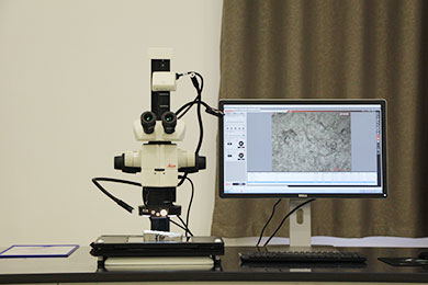 Stereomicroscope