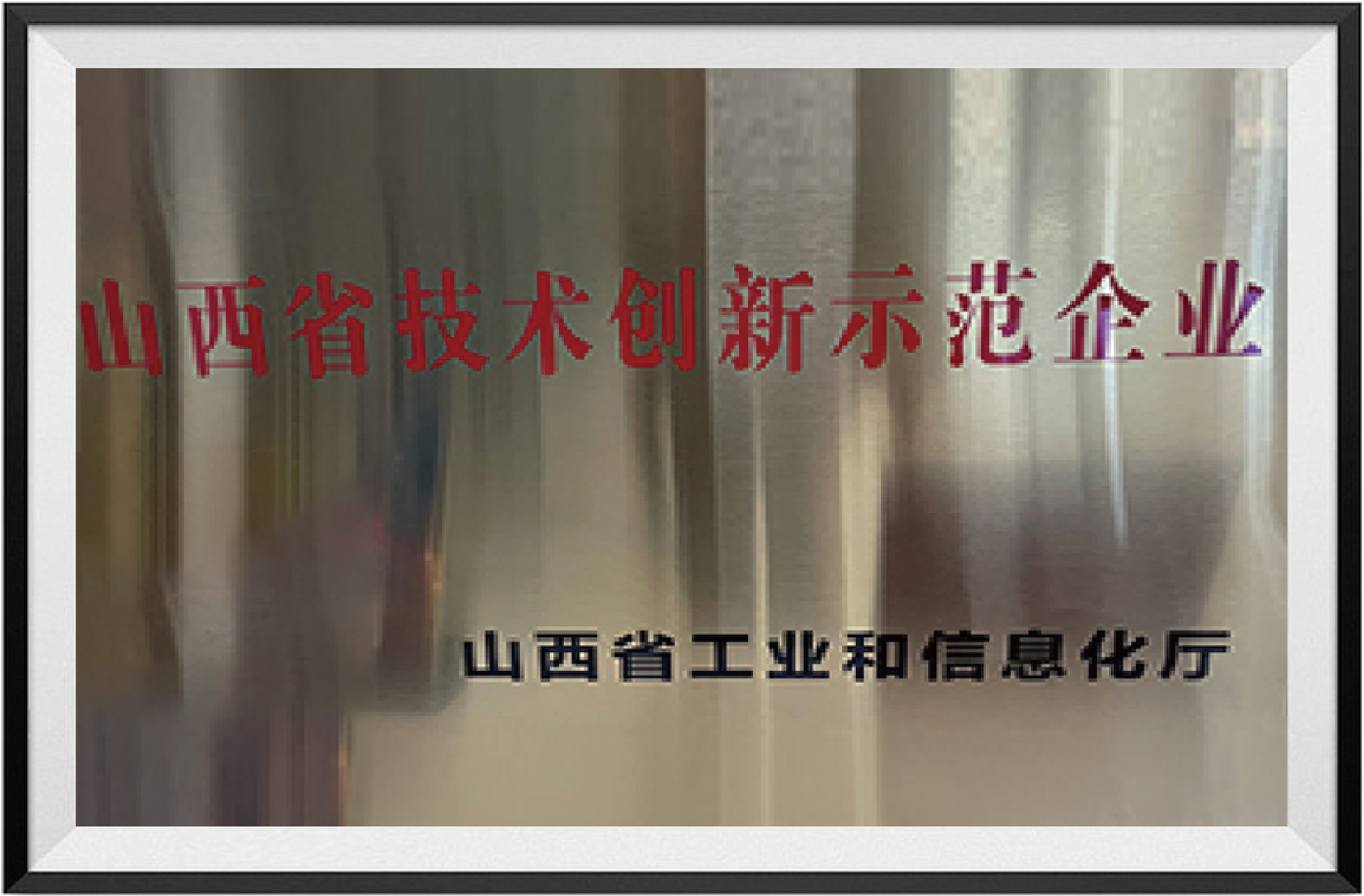 技术创新示范企业